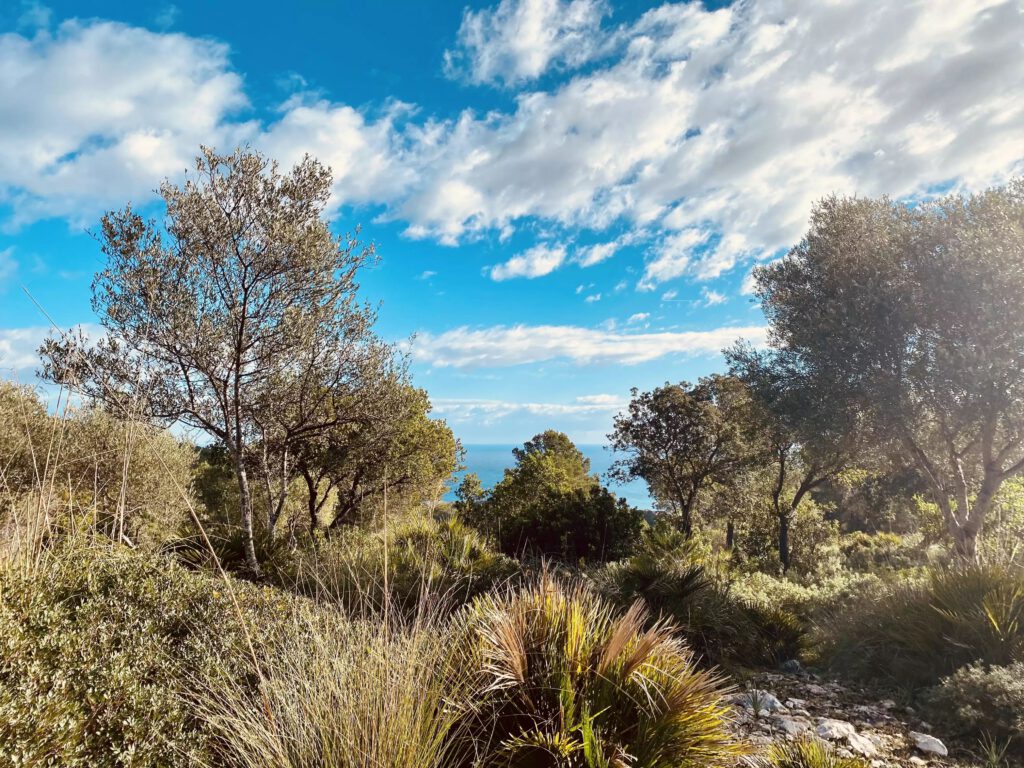 Wanderweg Mallorca